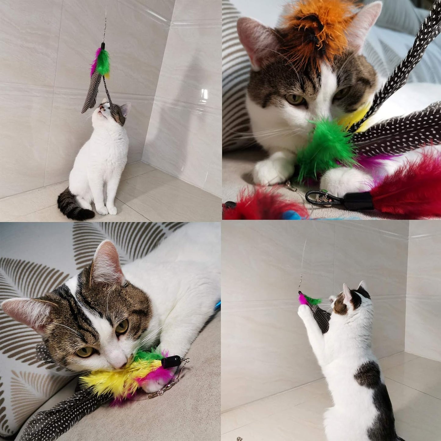Cat Feather Toys Refills Cat Wand Replacement Feathers, 10 PCS Fe