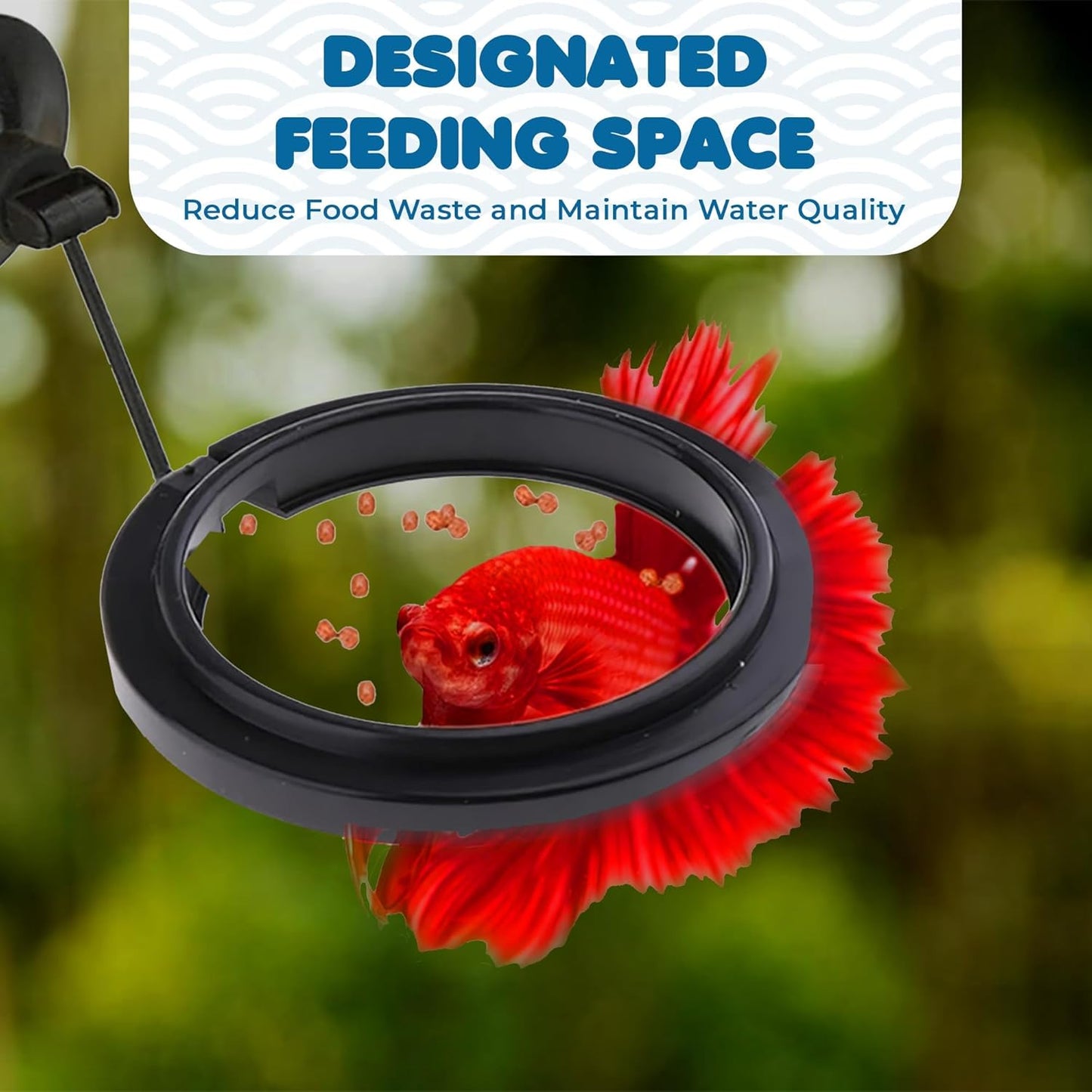SunGrow Betta Feeding Ring, 3 Inches, Practical Round Floating Food, Reduce
