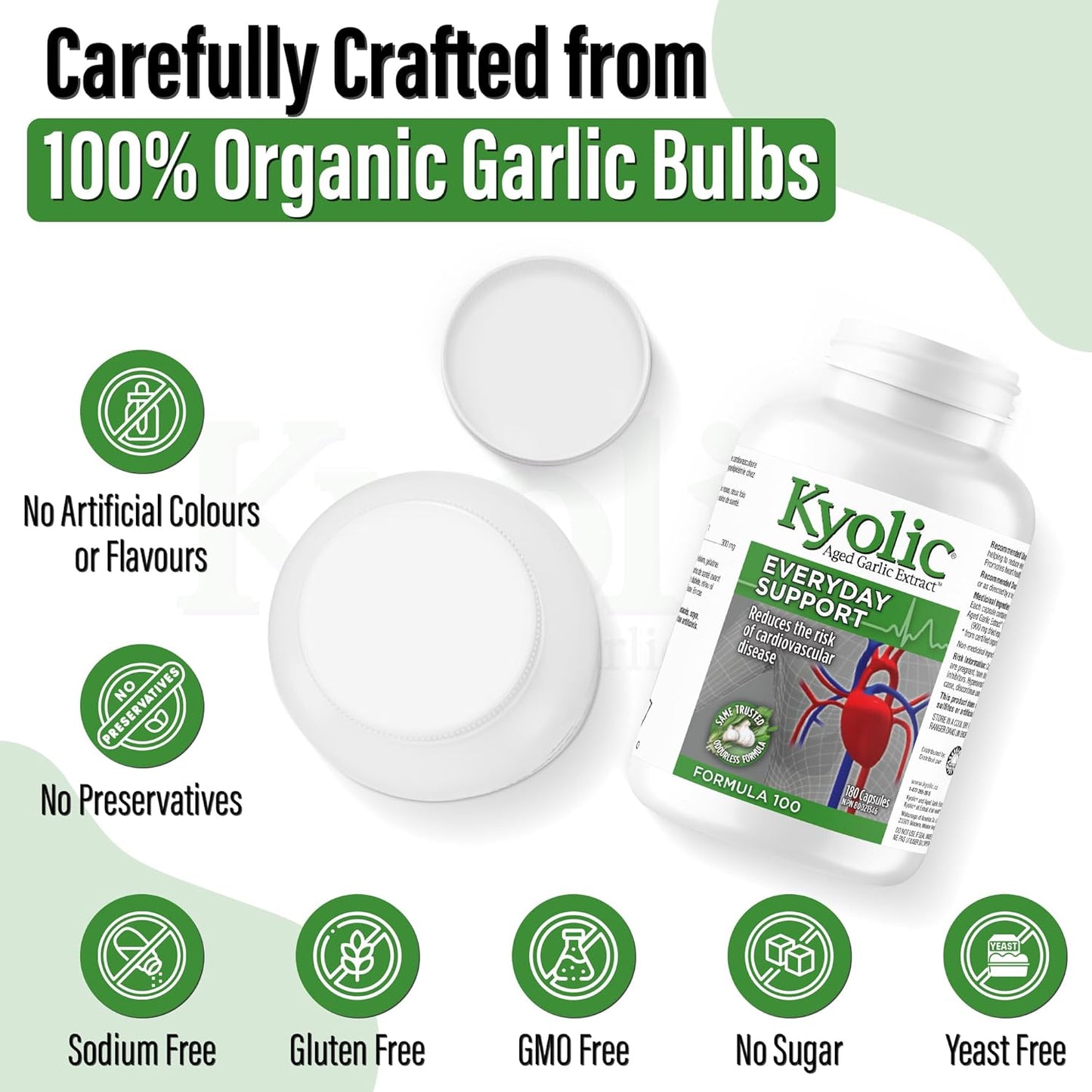 Kyolic - Aged Garlic Extract Supplements - Formula 100 Everyday Support 300