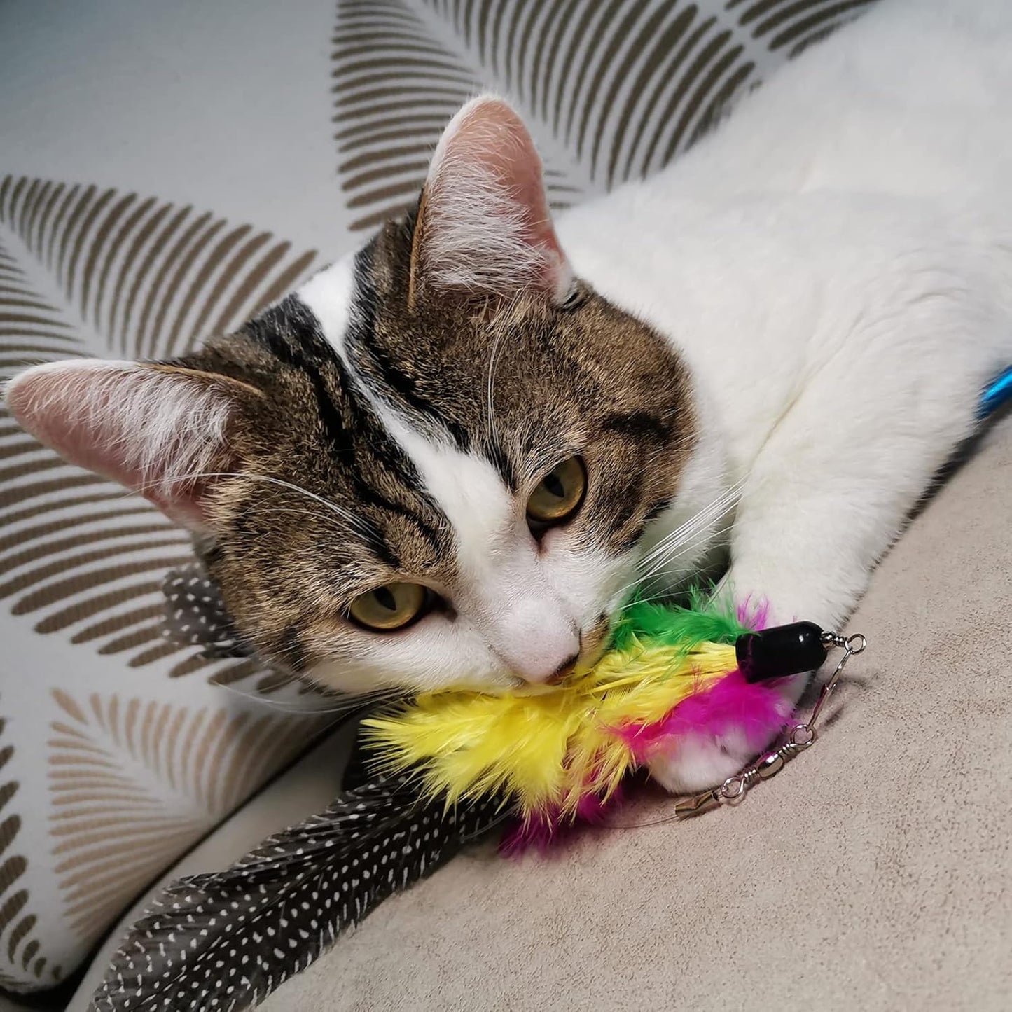 Cat Feather Toys Refills Cat Wand Replacement Feathers, 10 PCS Fe