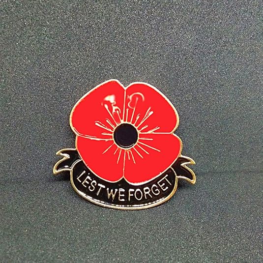 Veterans Day Remembrance Day Memorial Day Gift Poppy Brooch Pins Lest We Fo
