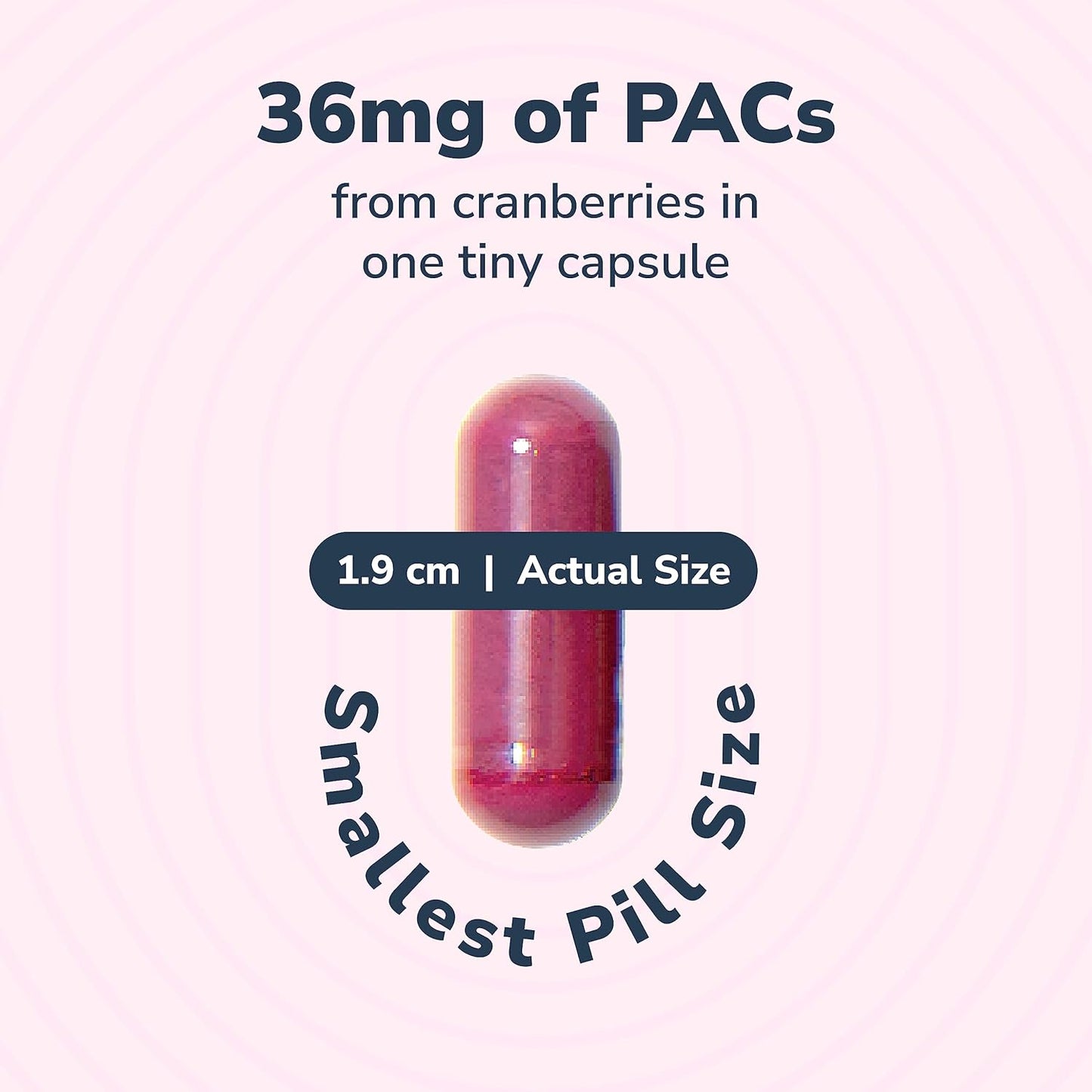 Utiva UTI Control Cranberry PACs – Clinically Studied Ingredients 36mg PACs