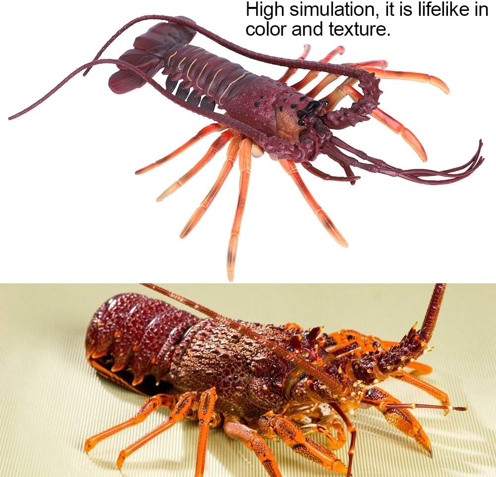 Simulation Lobster Toy, Soft Plastic Lobster Model  Seafood Restaurant Prop Decoration  (29cm-Dark-Deep Sea King Shrimp)